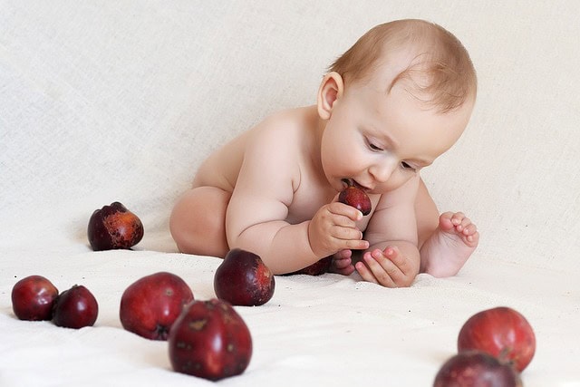フランスの離乳食はいつから 進め方と食材 4 6か月頃 ますこのフランス生活