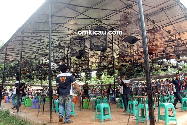Piala Cileungsi Cup I Piala Cileungsi Cup I