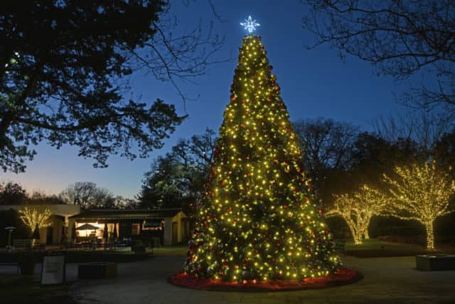 dallas arboretum, one million lights, one million lights for the holidays, 12 Days of Christmas, Dallas, Dallas Holidays