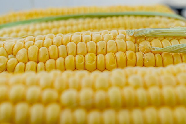 glutenfria spannmål och pseudokorn