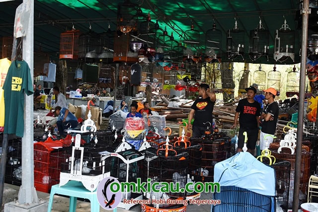 Pakde Karwo Cup