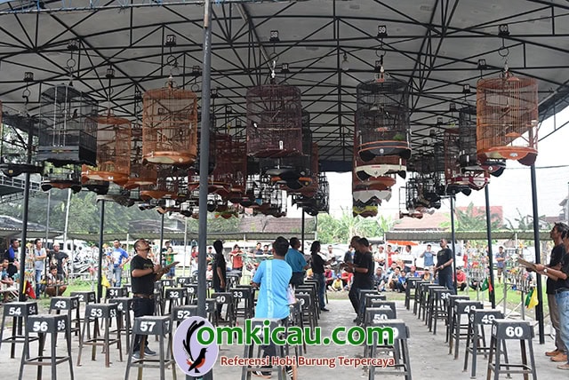 Event Legendaris M3 Dewa 99 Event Legendaris M3 Dewa 99