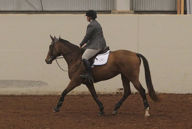 Saddle pad bunching in action