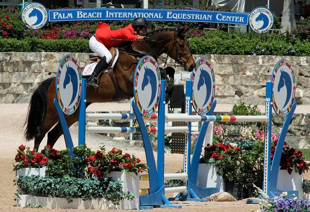 International Ring at PBIEC
