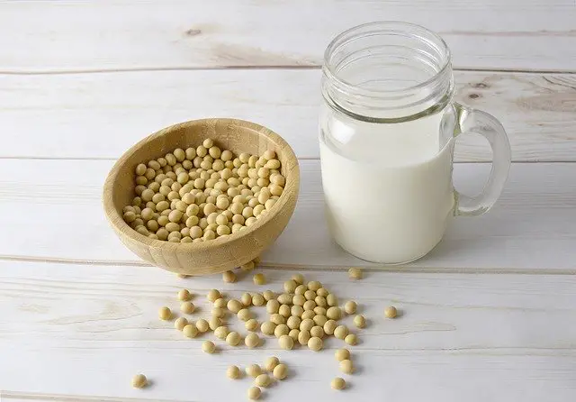 soy milk soy milk
