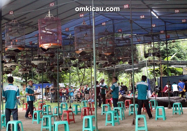 Lomba burung berkicau Gebyar Yonif