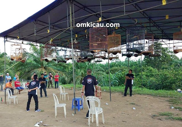 BnR DPC Dharmasraya BnR DPC Dharmasraya
