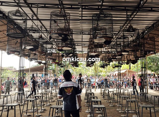 Launching RI DPC Sukoharjo