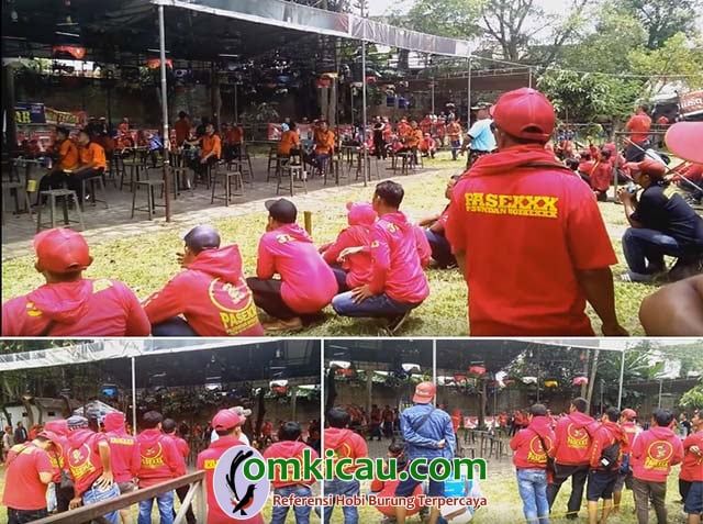 Kopdar Akbar Pasexxx Kopdar Akbar Pasexxx