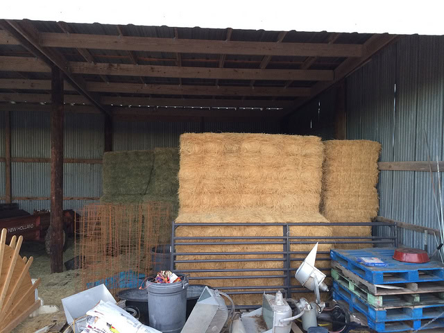 The hay stack