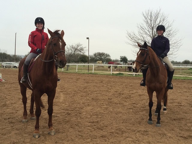 Mare face says no thanks