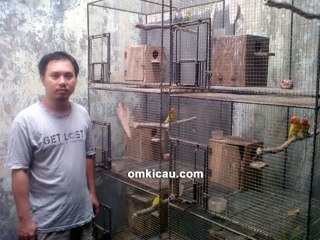 Arief Adi Bird Farm Pati