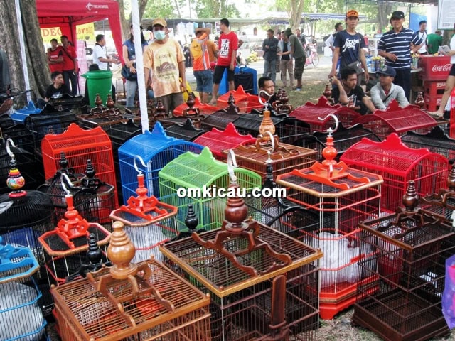 Bursa sangkar burung di Piala Raja