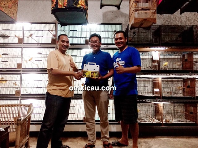 breeding kenari RKG BF Depok