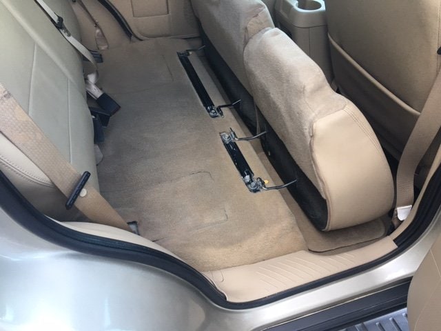 Case Study Vehicle Mold Removal Premier Auto Detailing