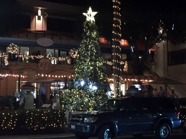 Amazing, but It Snows in Naples Florida every Christmas Season