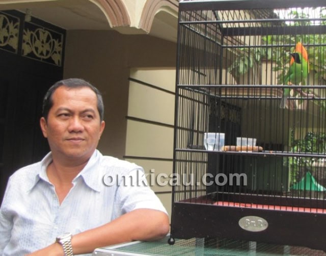 Yayang dan cucak hijau Dahsyat.