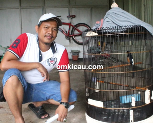 Murai blacktail Ballotelli