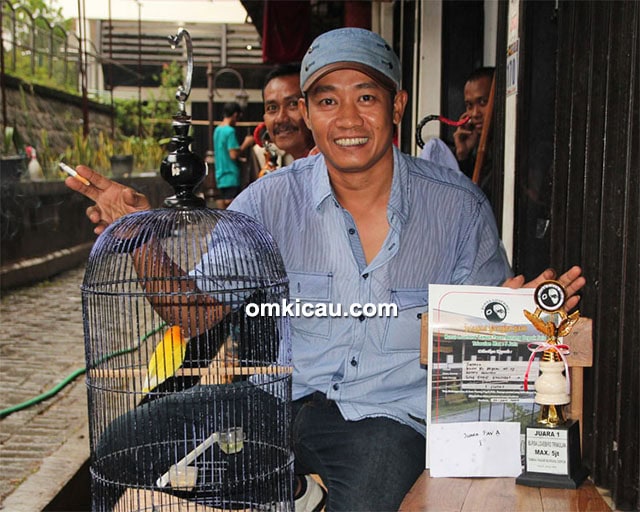 Om Satria dan lovebird Ronda Rousey