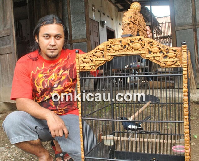 Mr YY dan kacer Adipati