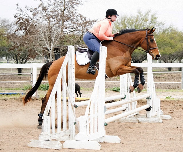 My right rein is tight in every picture. This may be a new pattern.