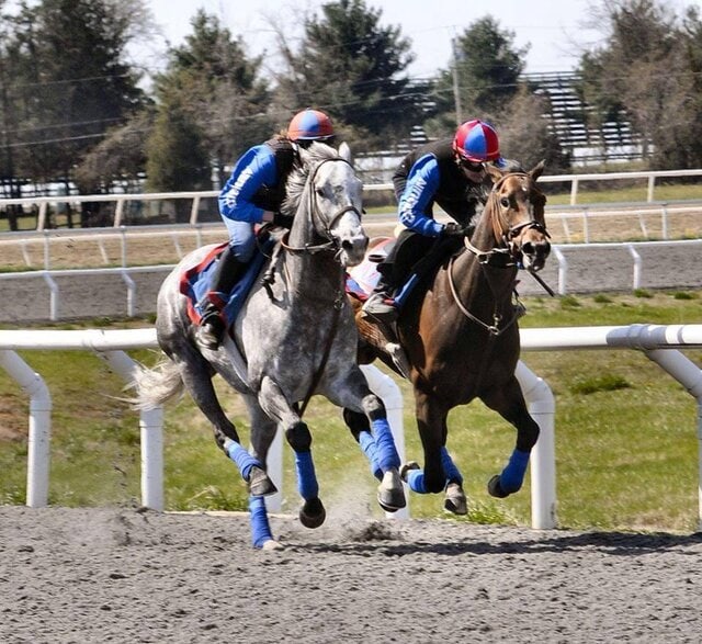 Here is George training with Icabad Crane... The one that went on to train with Phillip Dutton. This face George is making is the same one he gave to the scentless bastard in the mirror. Photo by Maggie Kimmitt