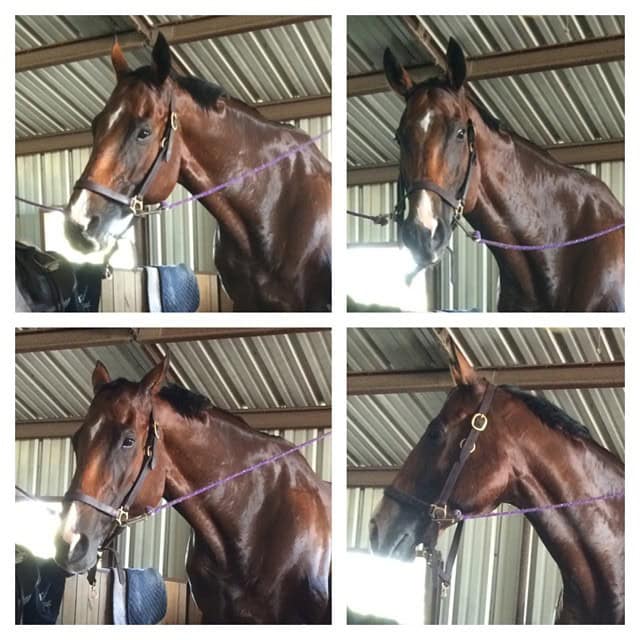 The many faces of Simon