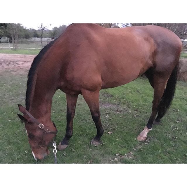 After I saved his life by hosing off his bum.