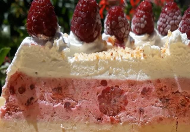 Torta Za 15 Minuta Sladoled Torta Sa Plazmom I Malinama Creativabox Com