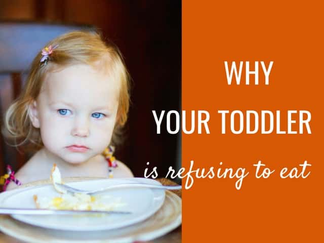 Why is your toddler is refusing to eat?