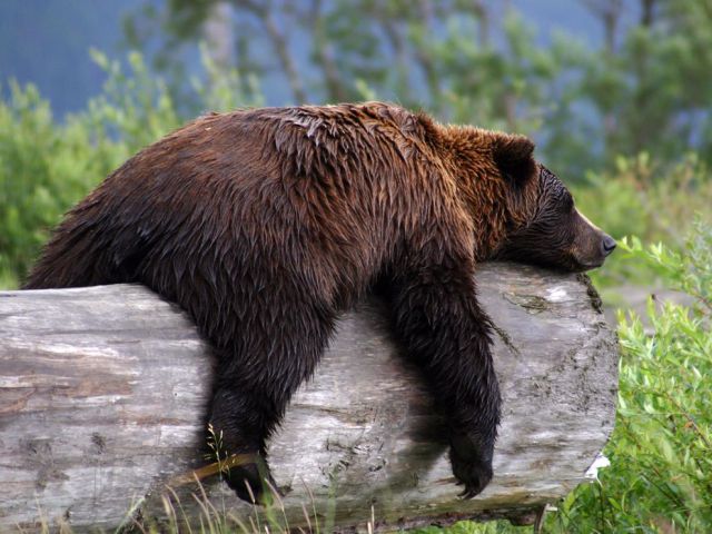 sitting disease https://neurovantage.wordpress.com/2012/04/05/a-day-off/