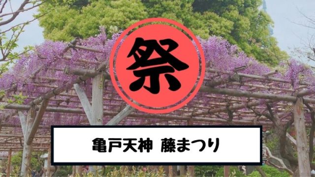 亀戸天神 藤まつり