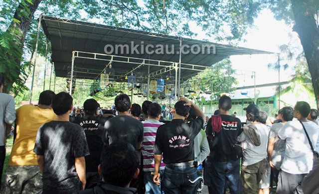 IKPBS Special Open Solo