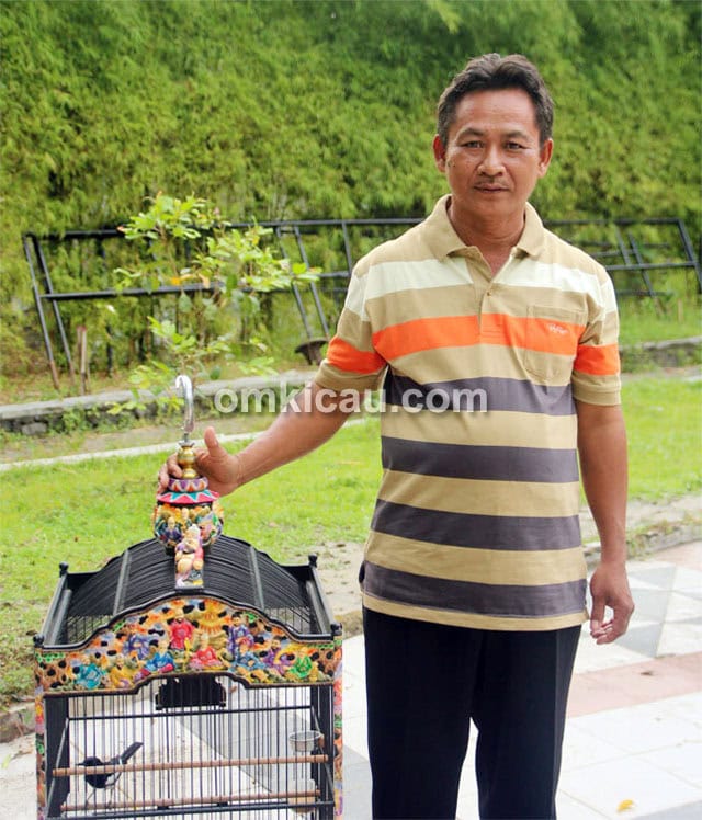 Om Gino dan kacer Yaris