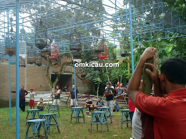 Gantangan 86 Bugel Jepara