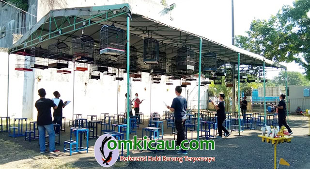 kelas cucak ijo