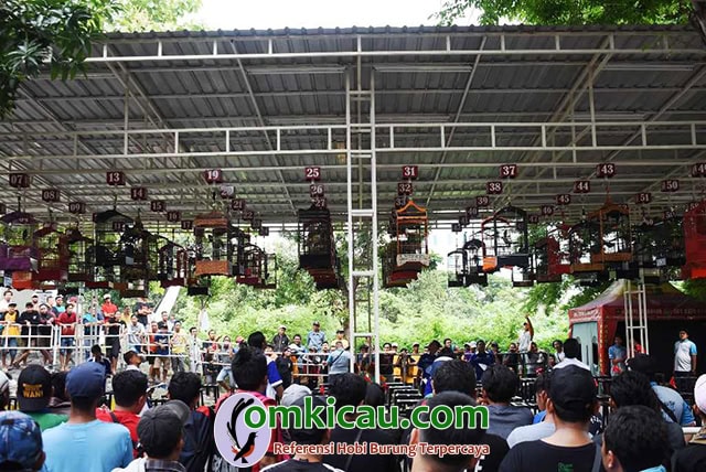 1st Anniversary Gantangan 45 Independent