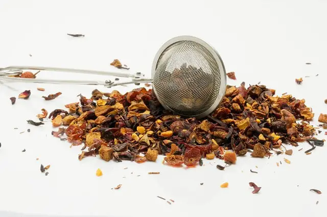 tea infuser tea infuser