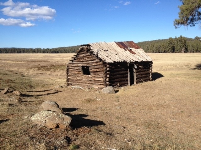 Brolliar Park Cabin BEFORE preservation