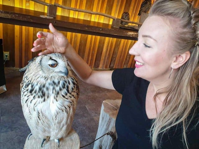 owl cafe osaka