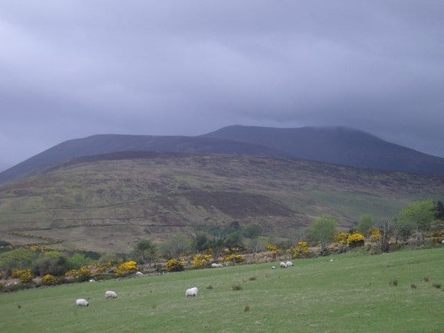 In_the_Derrynasaggart_Mountains,_between_Killarney_and_Macroom_-_geograph.org.uk_-_480562 http://www.geograph.org.uk/photo/480562