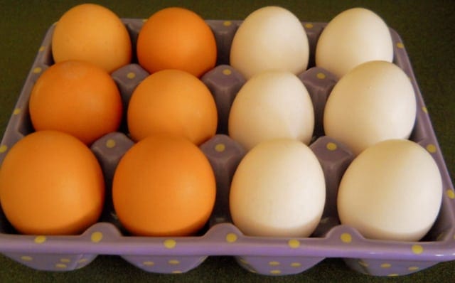 Brown and white eggs