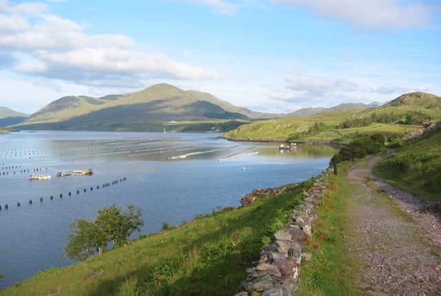 Fish farm in the water along Kilary Harbor