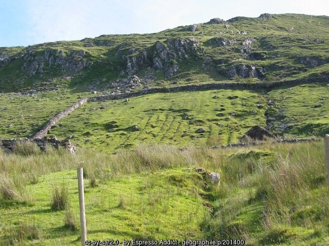 Fields showing signs of old lazy beds for growing potatoes near Killary Harbor