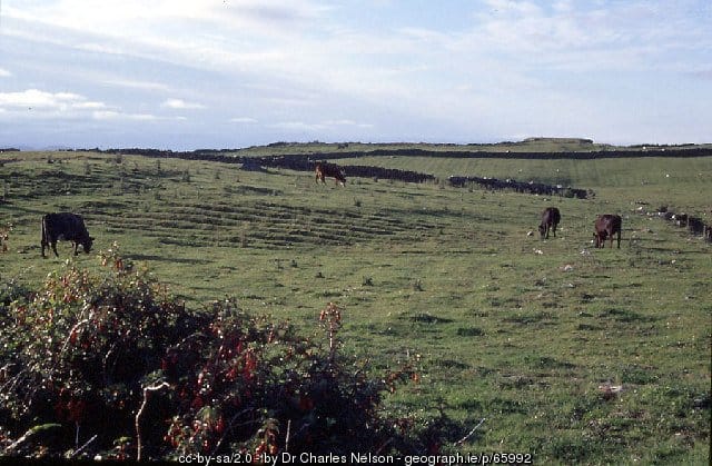 Old potato fields near Renvyle County Galway