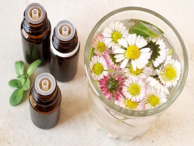 Single Herbal Tinctures
