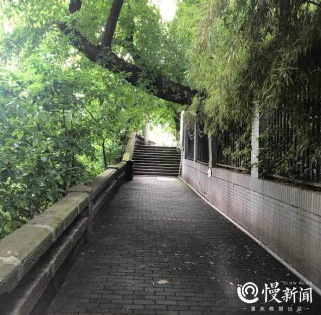 藏身渝中的步道年底与你见面 百米悬空栈道带你打卡“重庆味道” 藏身渝中的步道年底与你见面 百米悬空栈道带你打卡“重庆味道”