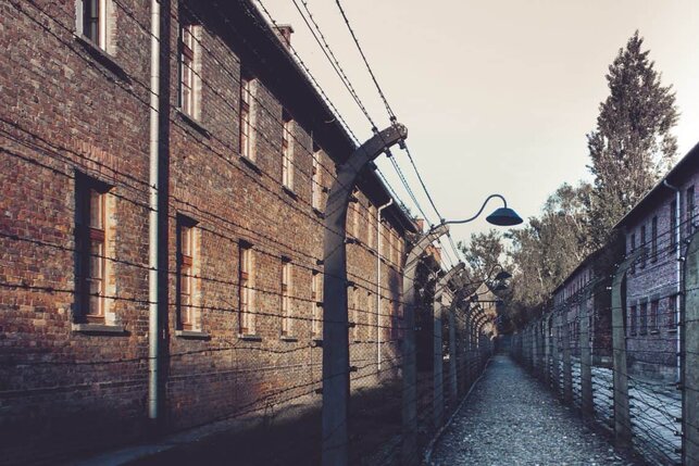 Best things to do in Krakow solo