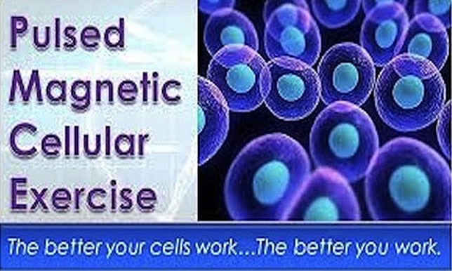 pemf cells pemf cells