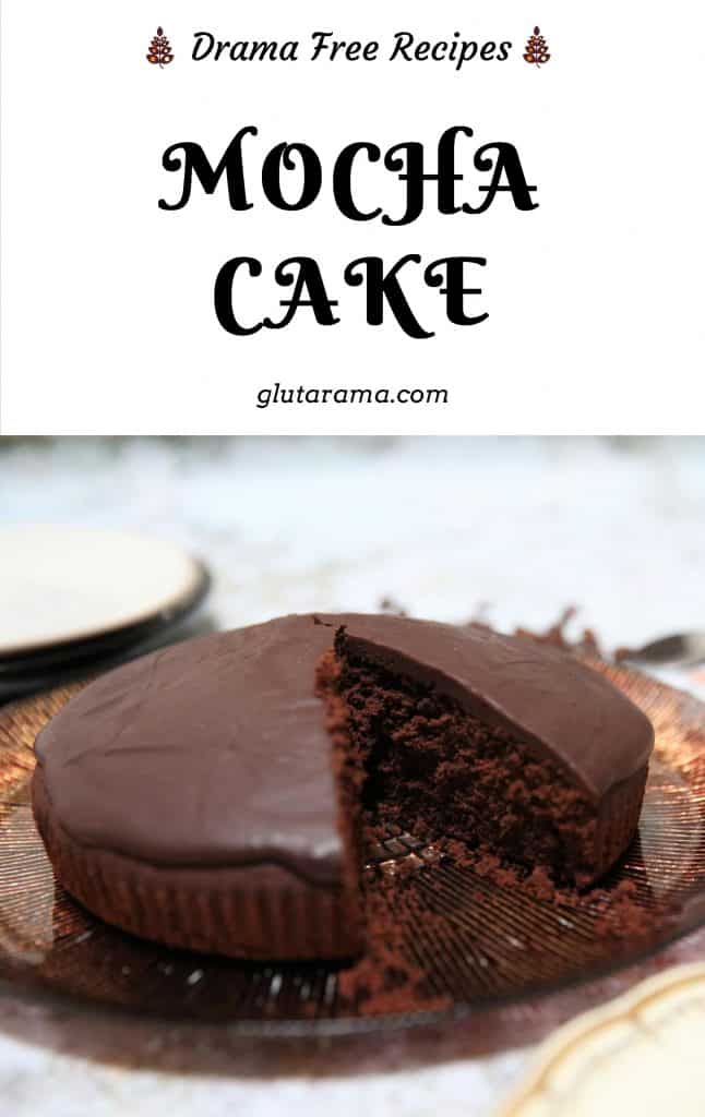 Mocha Cake; this delicious cake is perfect to share with friends, it's gluten free, dairy free and vegan too but they'll never know! #mocha #coffeecake #chocolatecake #vegan #glutenfree #dairyfree #teatime #afternoontea #freefromgang